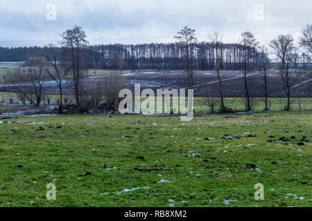 Un peu de neige sur les champs et les pâturages verts. Forêt et abandonné ferme laitière dans l'arrière-plan. Le début de l'hiver, en Europe. Banque D'Images