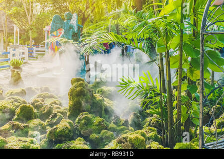 Mos vert sur la pierre tandis que l'eau springer se propager dans le jardin Banque D'Images