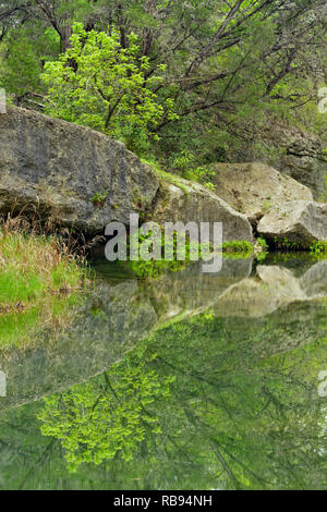 Réflexions à Hamilton Creek, Hamilton extérieure préserver les parcs Travis County, Texas, USA Banque D'Images