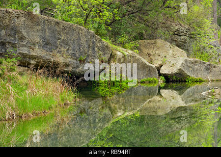 Réflexions à Hamilton Creek, Hamilton extérieure préserver les parcs Travis County, Texas, USA Banque D'Images