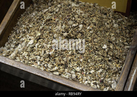 Herbes médicinales et de guérison dans le marché, infusions et de camomille Banque D'Images