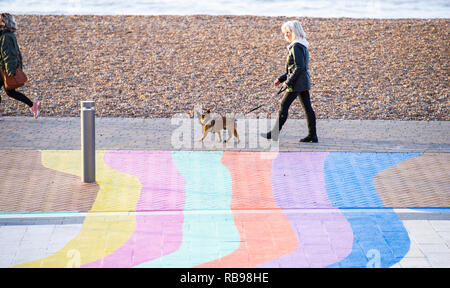 Brighton UK 8 Janvier 2019 - Dog Walkers profiter du beau mais froid matin sur la plage de Brighton, l'air froid devrait balayer partout en Grande-Bretagne au cours des deux ou trois jours de crédit : Simon Dack/Alamy Live News Banque D'Images