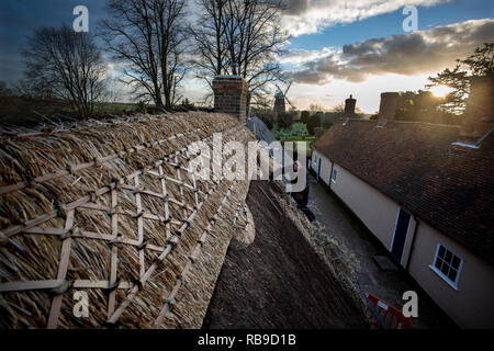 Thaxted, Essex, Angleterre, Royaume-Uni. 8 janvier, 2019. Chaume l'ancienne Almeshouses à Thaxted North West Essex. Martin Potter de sable Heddingham une 5e génération Thatcher a vu le remplacement de la paille longue crête de chaume sur le toit de l'Almeshouse connu sous le nom de Chantry construit au 17ème siècle. Martin Potter est à l'aide d'un mélange de paille longue du Yorkshire et de l'Essex pour terminer le travail qui devrait prendre un mois pour terminer. Webbs jean moulin peut être vu dans l'arrière-plan. Crédit : BRIAN HARRIS/Alamy Live News Banque D'Images