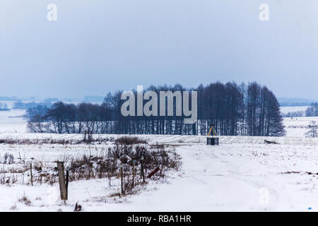 La neige a couvert les champs et prés. Les racines de maïs comprimé peek hors de la neige. Forêt en arrière-plan. Le début de l'hiver, en Europe. Banque D'Images