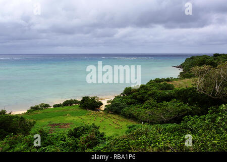 Belle et sauvage plage de sable blanc dans une jungle et l'eau turquoise de l'océan Pacifique Banque D'Images