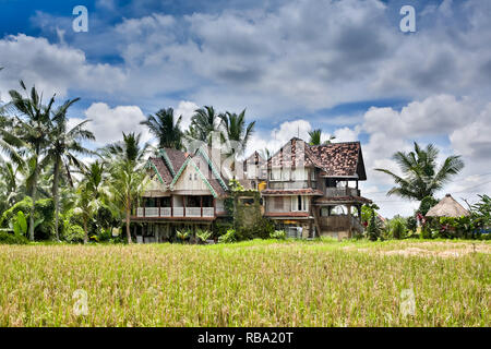 Maison rurale dans la lumière du soleil du matin debout sur le champ de riz dans Penestanan place près de Ubud, Bali, Indonésie Banque D'Images