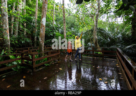 Mère et fils en imperméables à la recherche au palm tree top sur la piste à Yonehara cocoteraie, Ishigaki, Japon Banque D'Images