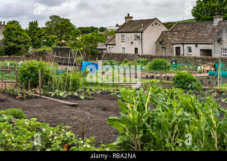 Un petit potager dans Kikrkwall, Orkney, Scotland, Royaume-Uni, Europe. Banque D'Images