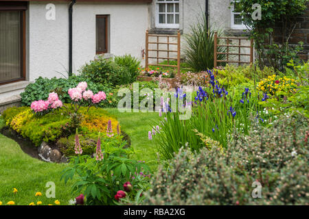 Un petit jardin dans Kikrkwall, Orkney, Scotland, Royaume-Uni, Europe. Banque D'Images