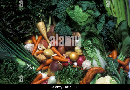 Un assortiment de légumes frais récoltés y compris les endives, pommes de terre, choux-fleurs, choux, carottes, betteraves, céleri, laitue, bok choy ET OIGNONS Banque D'Images