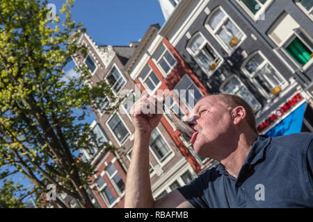 Les Pays-Bas, Amsterdam. Man eating fresh, le hareng cru le mode hollandais. Banque D'Images