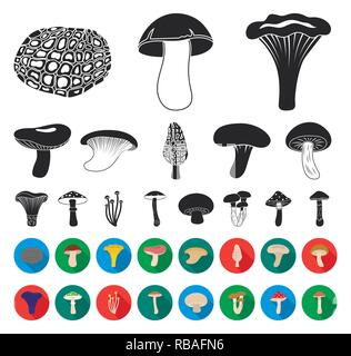 Toon'actarius,art,amanita,télévision,noir,brun,cèpes,cap,champignon,chanterelle,collection,la délicatesse,design,enokitake,alimentation,vert,forêt,le miel,icon,illustration,indigo,logo,isolé,mashroom, lait, Morel,usine,huîtres,cèpes,produit,russula,set,symbole,shiitake,toadstool,truffe,web,vecteur vecteurs vecteur, , Illustration de Vecteur