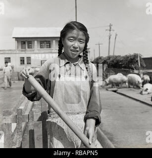 Années 1950, historiques, une jeune chinoise avec les cheveux tressés et porte bébé à travailler sur une ferme porcine, Chine Banque D'Images