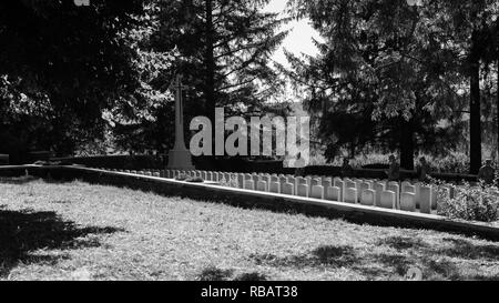 La Première Guerre mondiale, Hunter's Commonwealth War Graves Commission Cimetière commémoratif de Terre-Neuve à Beaumont-Hamel, France, le 6 août 2018. Image courtoisie le s.. Robert Adams / Quartier général- Illinois National Guard Affaires publiques. () Banque D'Images