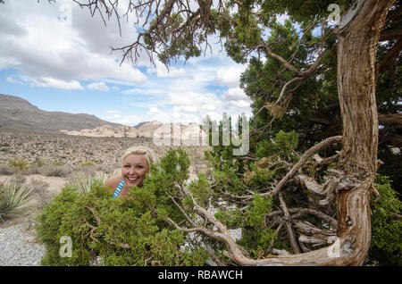 Funny, goofy femme blonde se cache dans les buissons près d'un arbre en juniper Canyon Red Rock de conservation au Nevada Banque D'Images