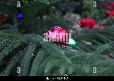 Décoration de Noël sur une branche de pin. Banque D'Images