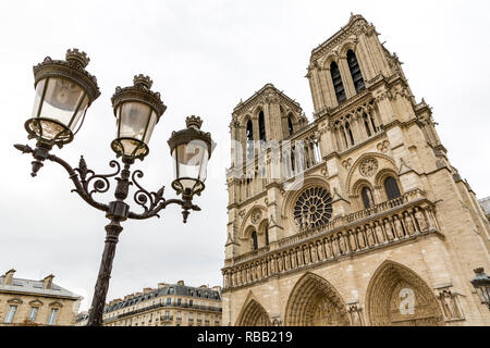 L'été à la cathédrale Notre Dame de Paris