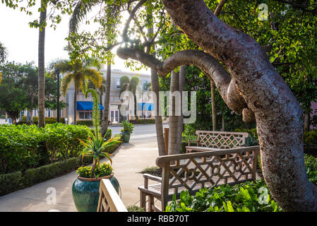 Voir tôt le matin d'un parc, le long de l'autoroute A1A à Palm Beach, en Floride. (USA) Banque D'Images
