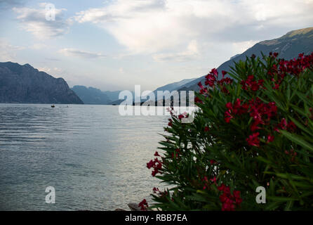 Coucher du soleil spectaculaire sur le lac de Garde en Italie Banque D'Images