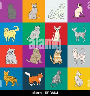 Angora,américain,animal,race,apparence,la,caricature,cat,personnage,chartreux,chocolat,collection,griffe,cornish,mignon,design,branche,exotiques,pliage,félin fourrure,les habitudes,icône,,illustration,et,aussi,isolé,cheveux longs,mammifère,rock,norvégien persan,animal,peterbald,purr,rex,savannah,scottish,semi,set,shorthair siamois,signe,sphynx,symbole,câline,turque,,laine,New york,vecteurs vecteur , Illustration de Vecteur