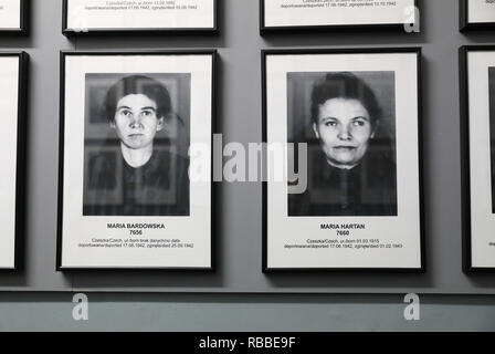 Photos de prisonniers ligne les murs dans le déménagement au salon d'Auschvitz 1 camp de concentration en Pologne Banque D'Images