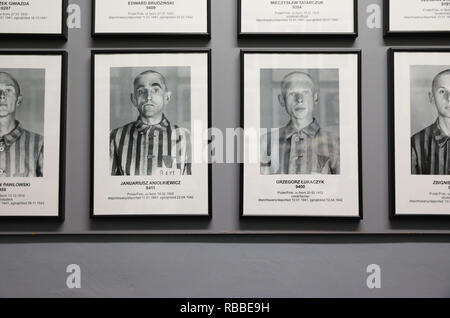 Photos de prisonniers ligne les murs dans le déménagement au salon d'Auschvitz 1 camp de concentration en Pologne Banque D'Images