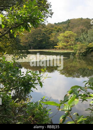 Vue de l'étang à Kyoyochi Ryoan-ji Temple Gardens, Kyoto : automne 2018 Banque D'Images