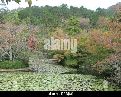 Vue de l'étang à Kyoyochi Ryoan-ji Temple Gardens, Kyoto : automne 2018 Banque D'Images