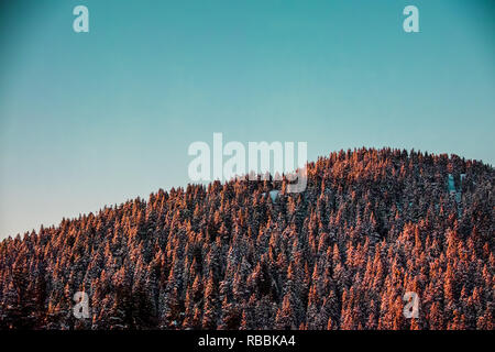 Photo de Grouse Mountain, à North Vancouver, BC, Canada Banque D'Images