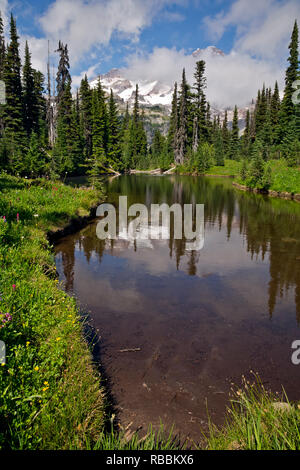 WASHINGTON - Le Mont Rainier reflétée dans les eaux peu profondes du lac miroir situé près d'Indian Henry's Terrain de Chasse, dans le Parc National de Mount Rainier. Banque D'Images