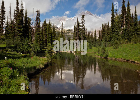 WASHINGTON - Le Mont Rainier reflétée dans les eaux peu profondes du lac miroir situé près d'Indian Henry's Terrain de Chasse, dans le Parc National de Mount Rainier. Banque D'Images