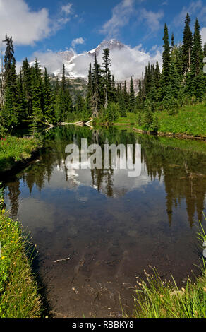 WASHINGTON - Le Mont Rainier reflétée dans les eaux peu profondes du lac miroir situé près d'Indian Henry's Terrain de Chasse, dans le Parc National de Mount Rainier. Banque D'Images