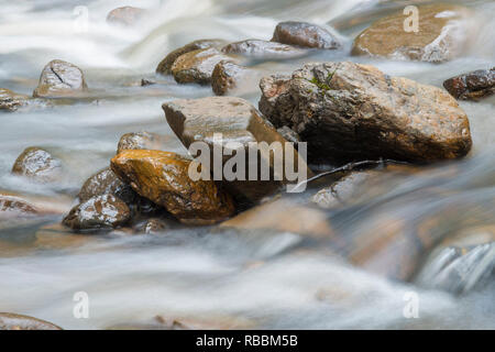 Close up de flowig rapide montrant la rivière roches avec obturateur lent, montrant l'effet de flou de l'eau Rivière gawler ouest Tasmanie Banque D'Images