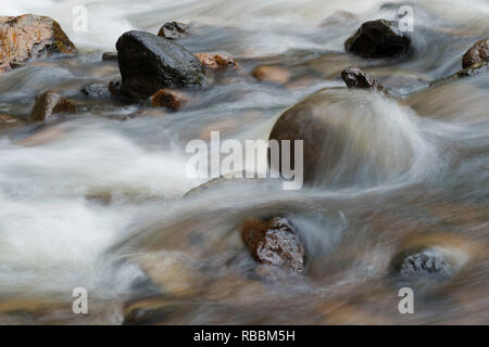 Close up de flowig rapide montrant la rivière roches avec obturateur lent, montrant l'effet de flou de l'eau Rivière gawler ouest Tasmanie Banque D'Images