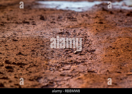 la terre ferme Banque D'Images