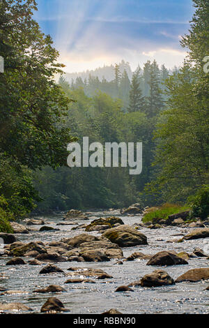 Lever de soleil depuis l'après-midi coucher de soleil sur la rivière verte en été dans l'état de Washington Banque D'Images