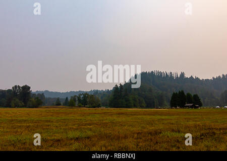 Les collines boisées qui s'élève au-dessus de l'herbe jaune et marron à la fin de l'été dans l'après-midi Banque D'Images