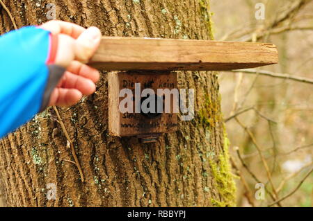 La géocachette garçon trouve une cache bien camouflé dans la forêt Banque D'Images