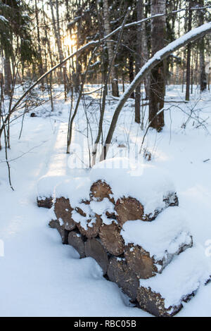 Bois de chauffage empilé en tas, couverte de neige. cutted faisceaux d'un chalet de montagne en forêt d'hiver Banque D'Images