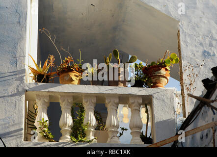 Fflower pots sur le balcon de Médina de Hammamet Banque D'Images