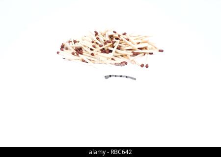 Allumettes avec une allumette brûlée. Isolé sur le fond blanc. Banque D'Images