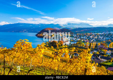 Le Château de Spiez et de vignobles, Berner Oberland, Suisse Banque D'Images