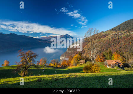 Niesen Mountain et le lac de Thoune, Berner Oberland, Suisse Banque D'Images