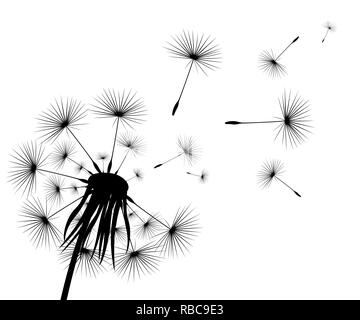 Silhouette d'un pissenlit fleurs Illustration de Vecteur