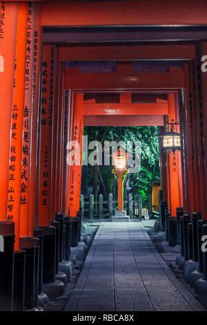 Fushimi Inari-taisha, Fushimi ward, Kyoto, Kyoto Prefecture, région du Kansai, au Japon. Torii gates tunnel. Banque D'Images