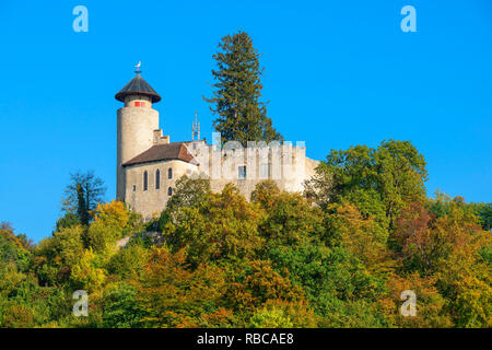 Le château de Birseck, Liestal, Bâle-Campagne, Suisse Banque D'Images