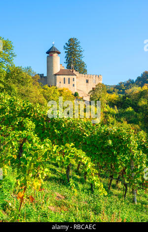 Le château de Birseck, Liestal, Bâle-Campagne, Suisse Banque D'Images