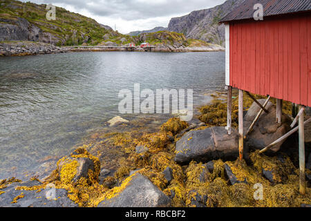 Norvégien typique des maisons rouges dans les Lofoten Rorbu village, Norvège Banque D'Images