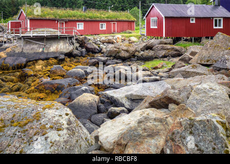 Norvégien typique des maisons rouges dans les Lofoten Rorbu village, Norvège Banque D'Images