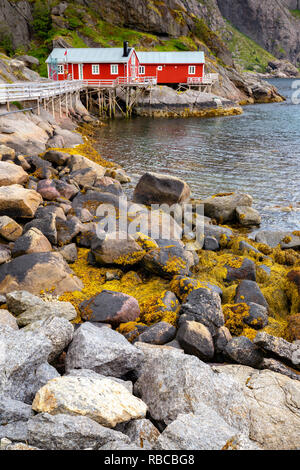 Norvégien Classique Rouge Rorbu cabanes de pêcheurs sur les îles Lofoten, Norvège Banque D'Images
